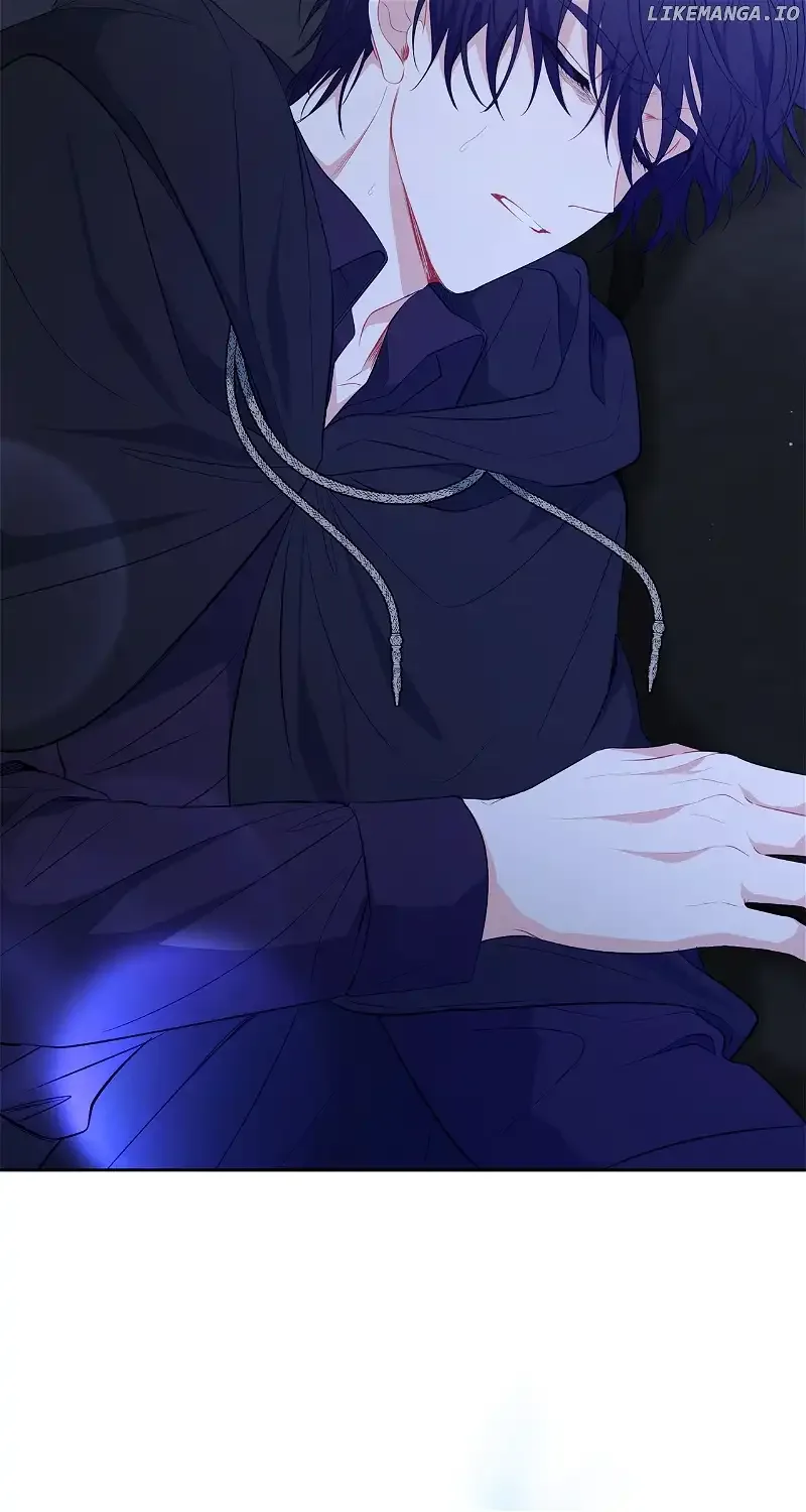 There Are Too Many Second Male Leads! Chapter 24 page 13