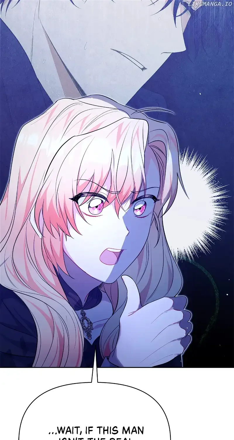 There Are Too Many Second Male Leads! Chapter 24 page 27