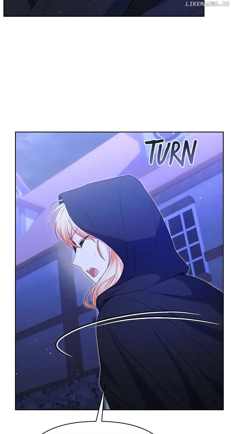 There Are Too Many Second Male Leads! Chapter 24 page 31