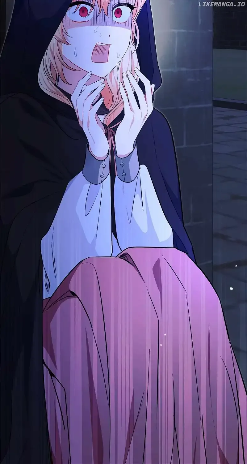 There Are Too Many Second Male Leads! Chapter 23 page 106
