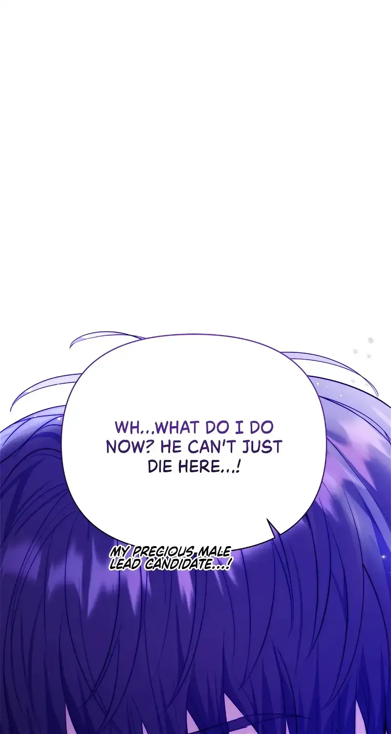 There Are Too Many Second Male Leads! Chapter 25 page 2