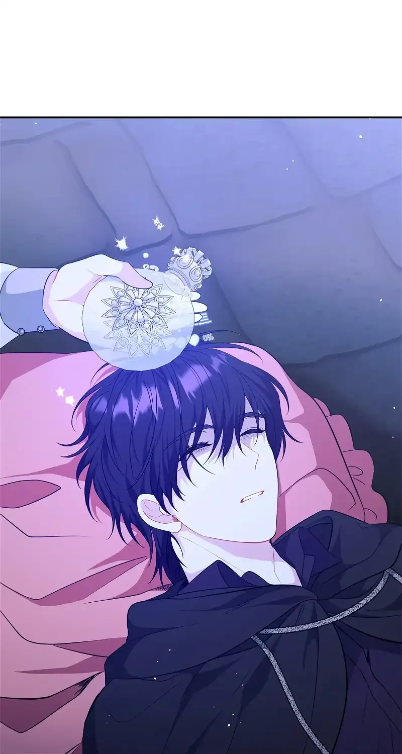 There Are Too Many Second Male Leads! Chapter 25 page 17