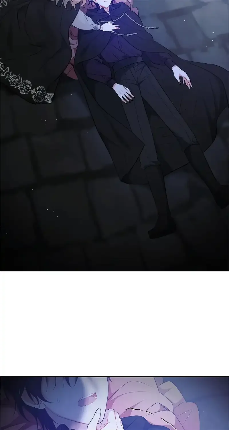 There Are Too Many Second Male Leads! Chapter 25 page 65
