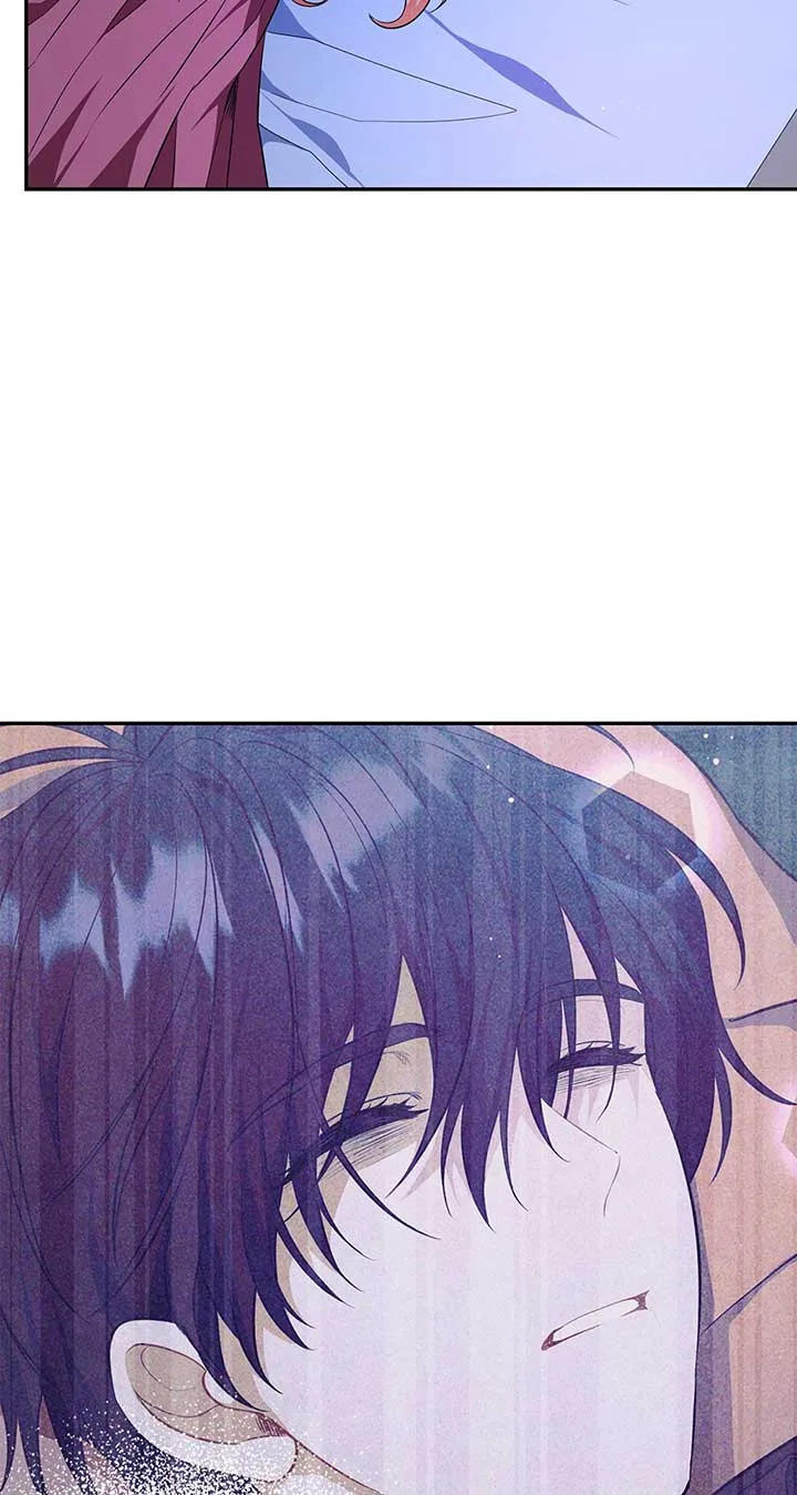 There Are Too Many Second Male Leads! Chapter 26 page 15