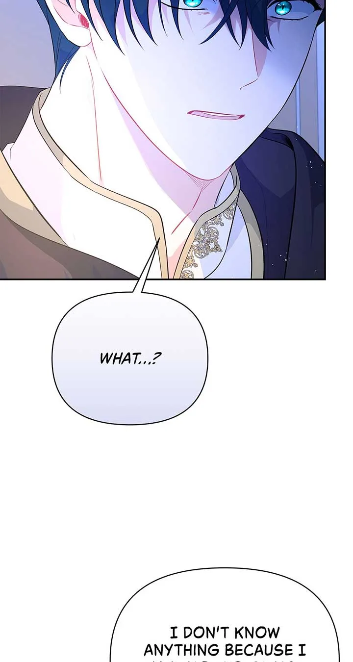 There Are Too Many Second Male Leads! Chapter 26 page 47