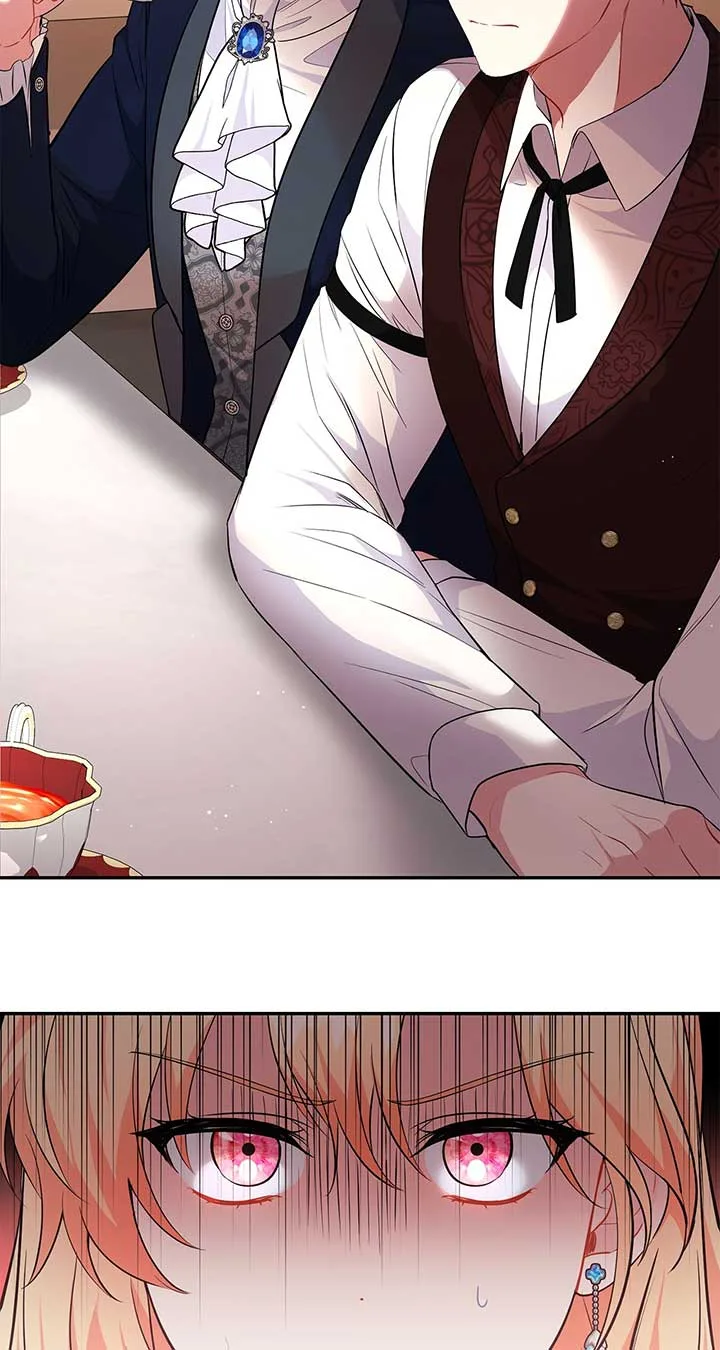 There Are Too Many Second Male Leads! Chapter 26 page 65