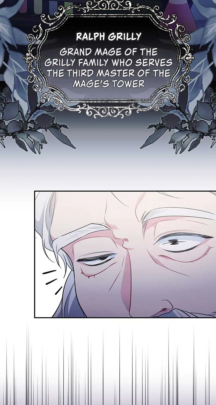 There Are Too Many Second Male Leads! Chapter 27 page 40