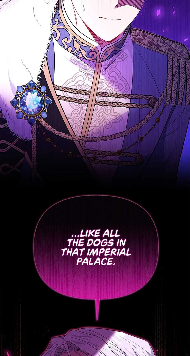 There Are Too Many Second Male Leads! Chapter 27 page 20