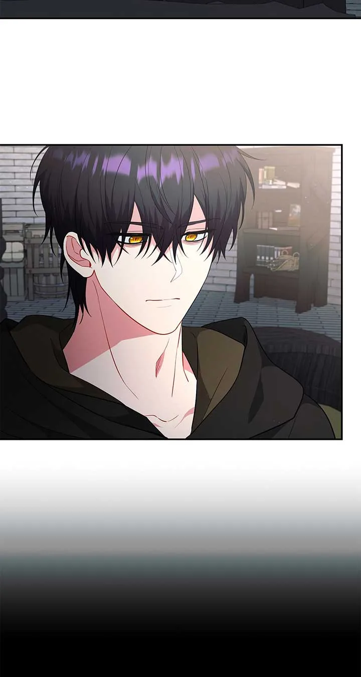 There Are Too Many Second Male Leads! Chapter 27 page 63