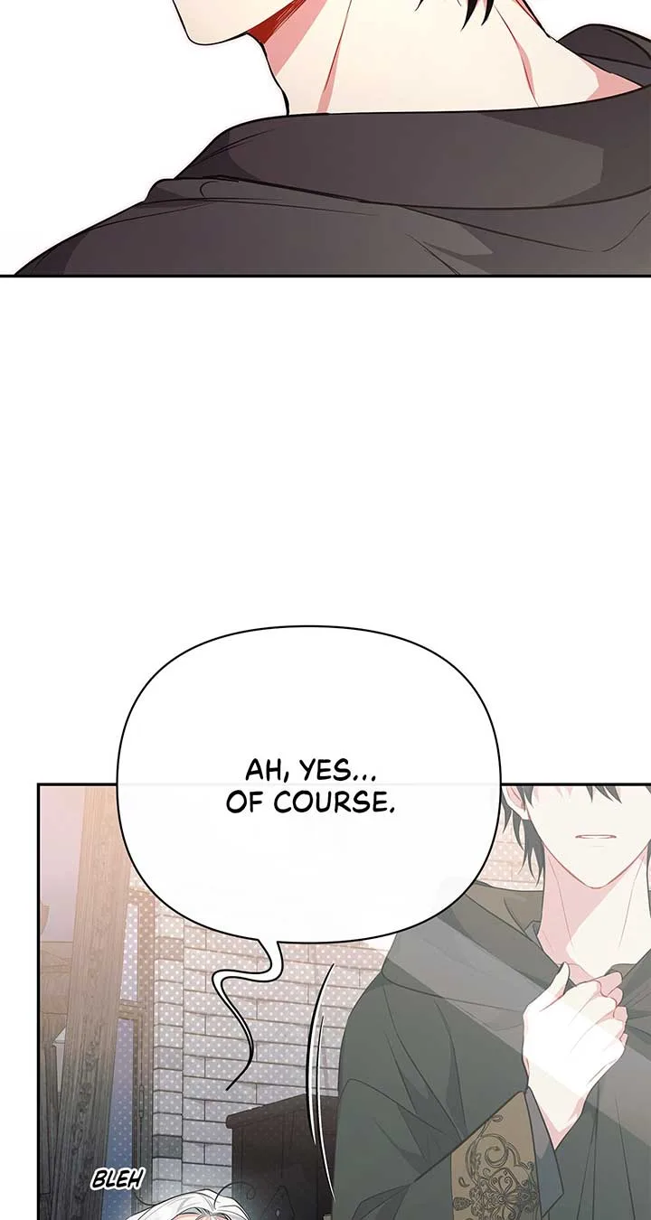 There Are Too Many Second Male Leads! Chapter 27 page 60