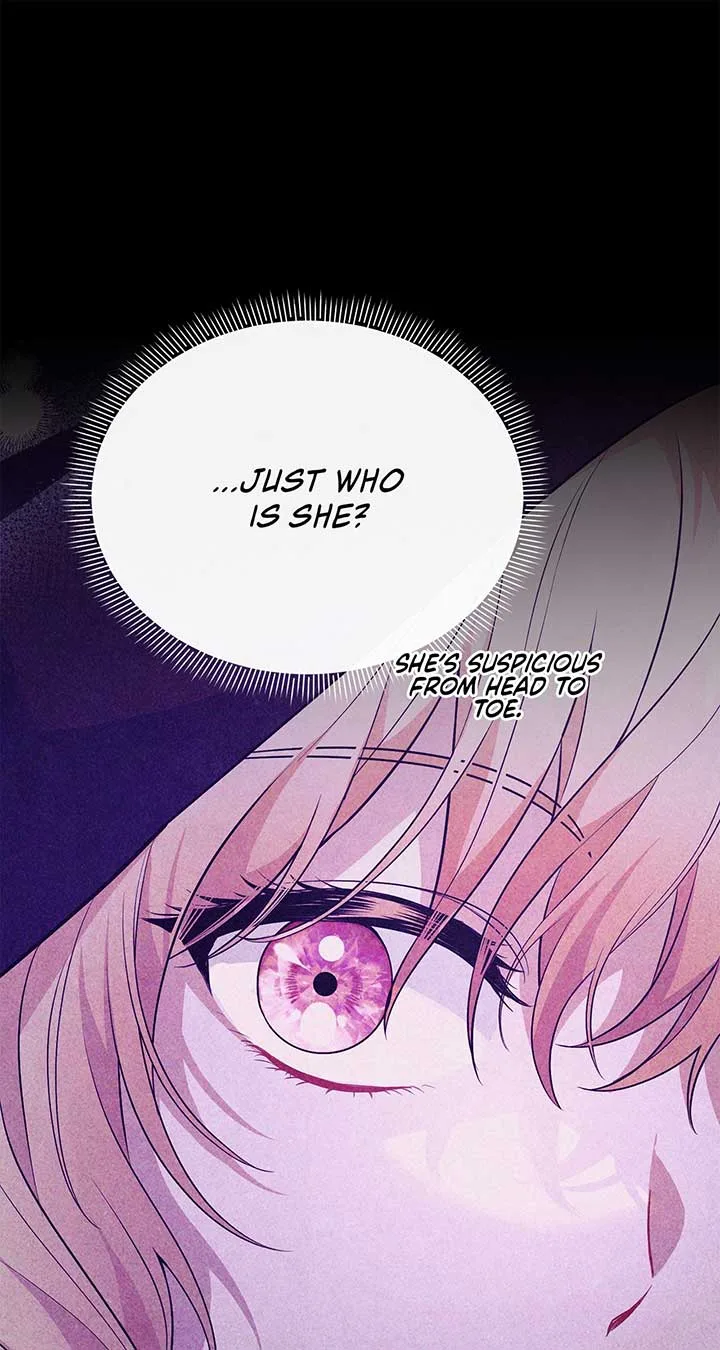There Are Too Many Second Male Leads! Chapter 27 page 65