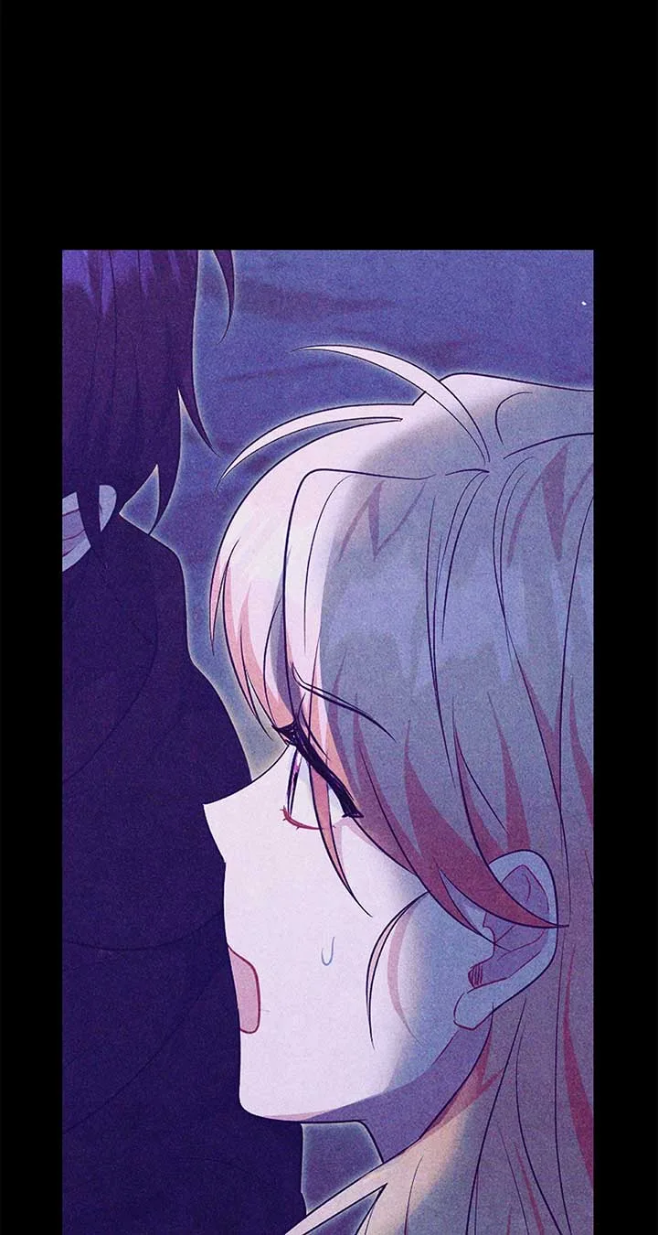 There Are Too Many Second Male Leads! Chapter 27 page 72