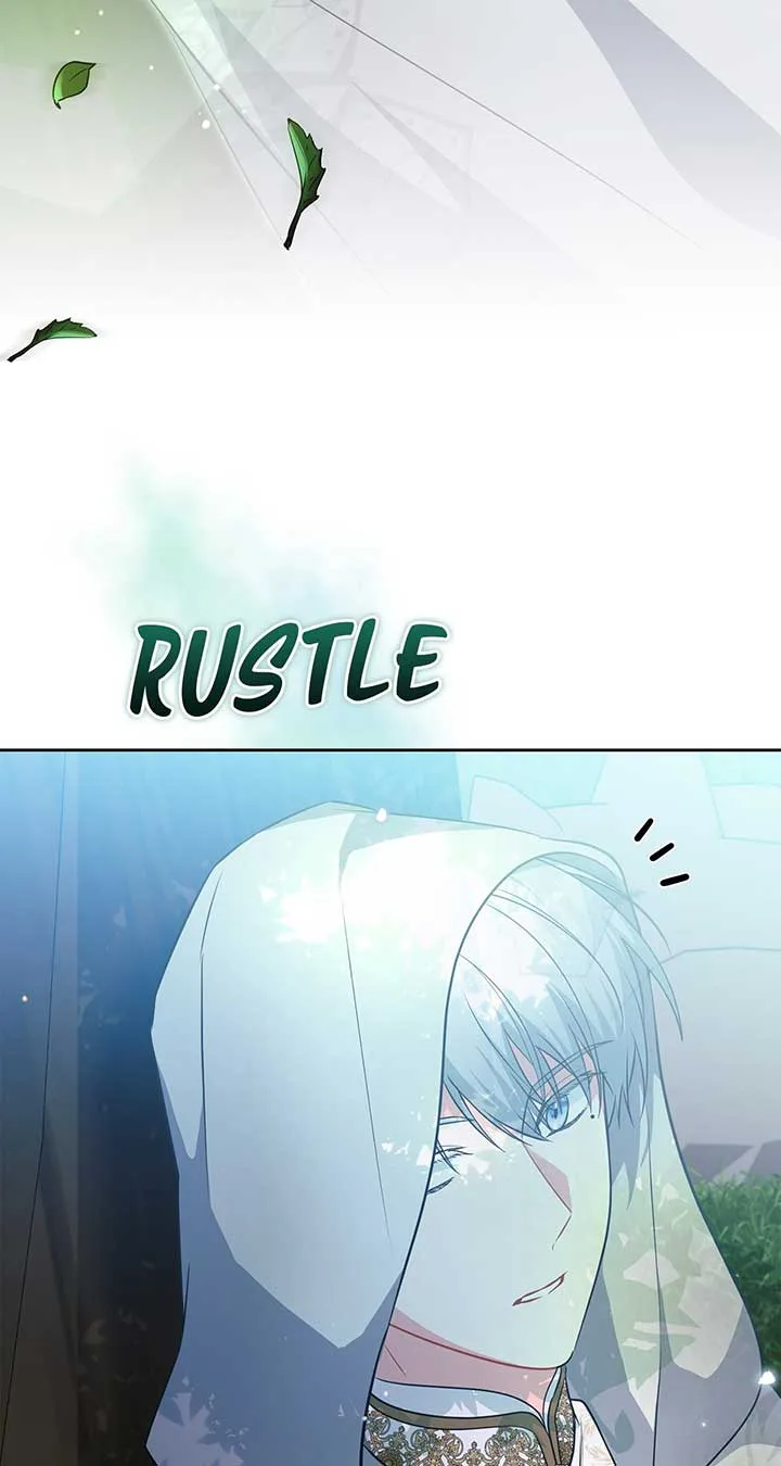 There Are Too Many Second Male Leads! Chapter 31 page 95