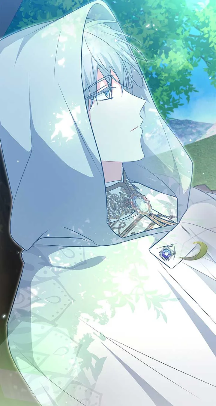 There Are Too Many Second Male Leads! Chapter 31 page 94