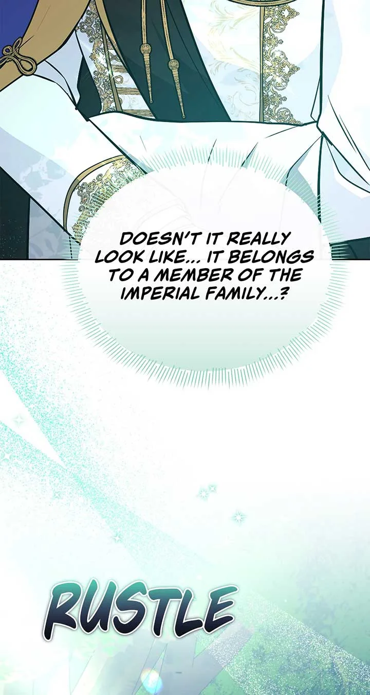 There Are Too Many Second Male Leads! Chapter 32 page 73