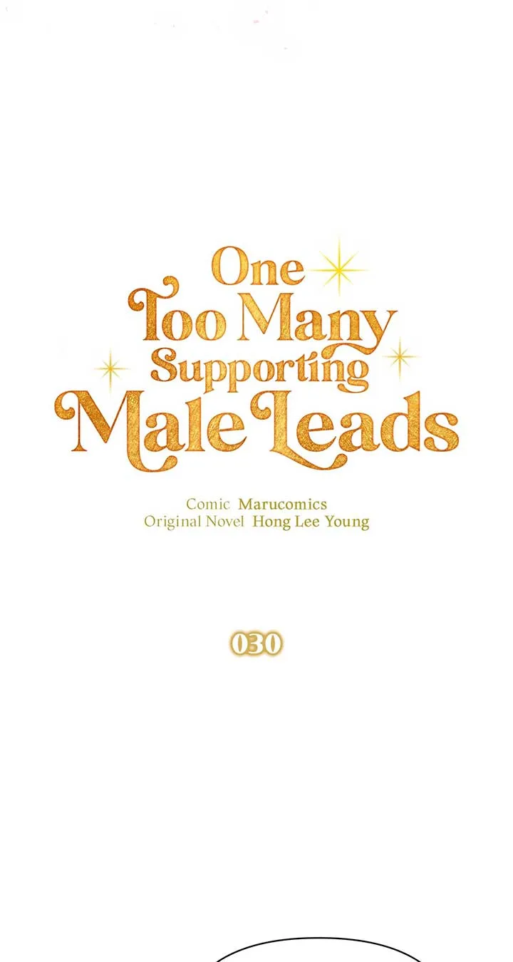 There Are Too Many Second Male Leads! Chapter 30 page 91