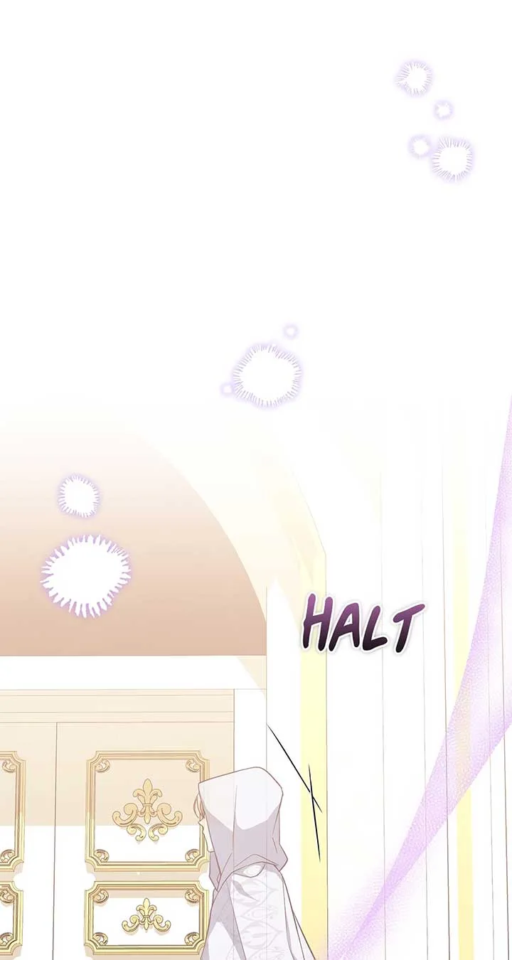 There Are Too Many Second Male Leads! Chapter 33 page 7