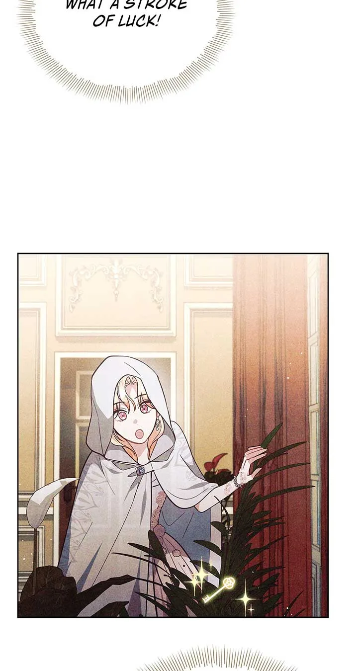 There Are Too Many Second Male Leads! Chapter 33 page 5