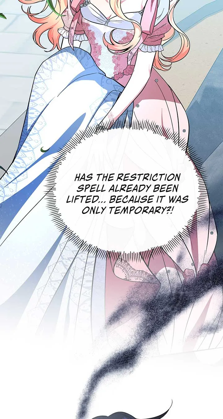 There Are Too Many Second Male Leads! Chapter 35 page 44