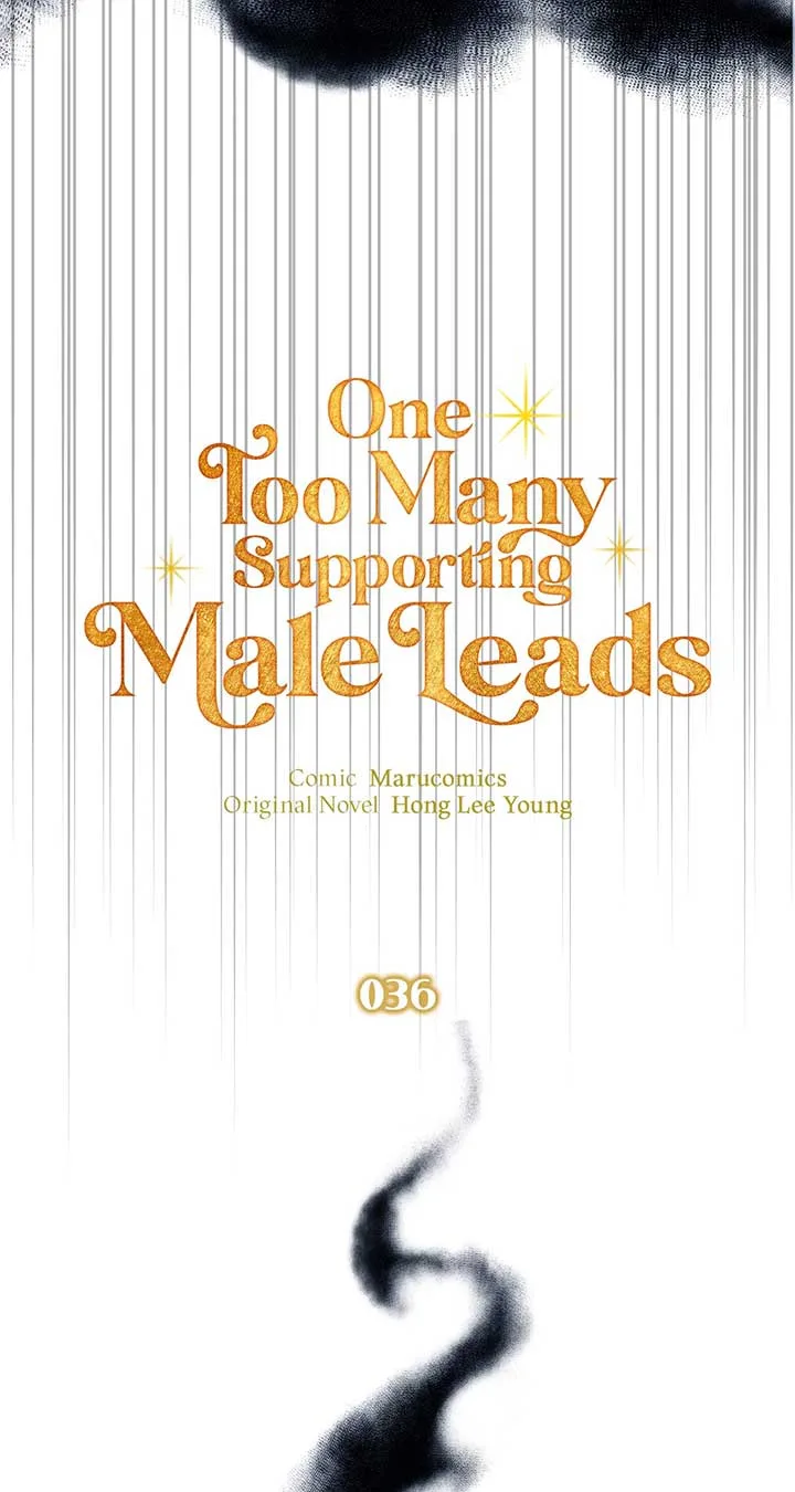 There Are Too Many Second Male Leads! Chapter 36 page 36