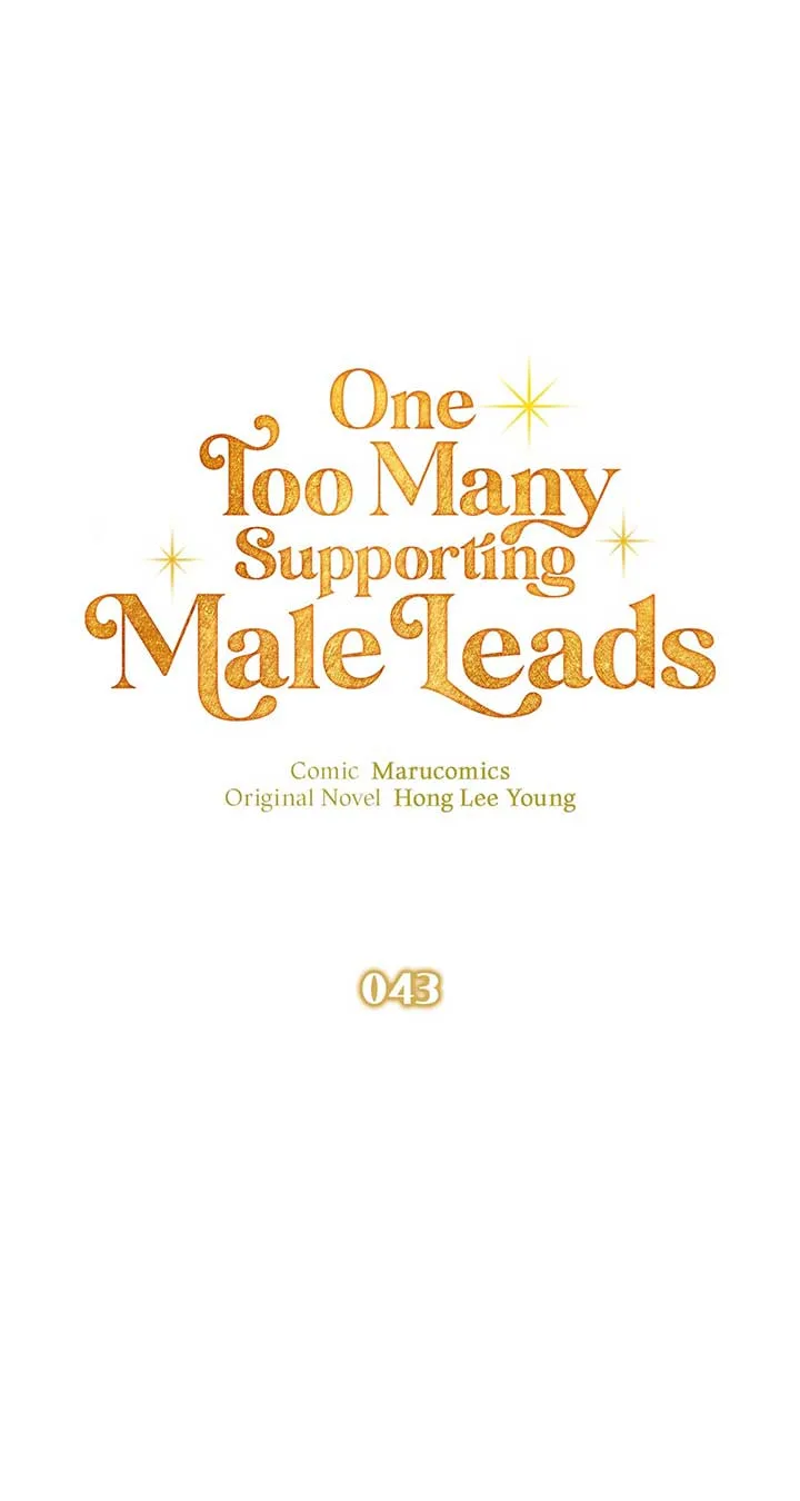 There Are Too Many Second Male Leads! Chapter 43 page 63