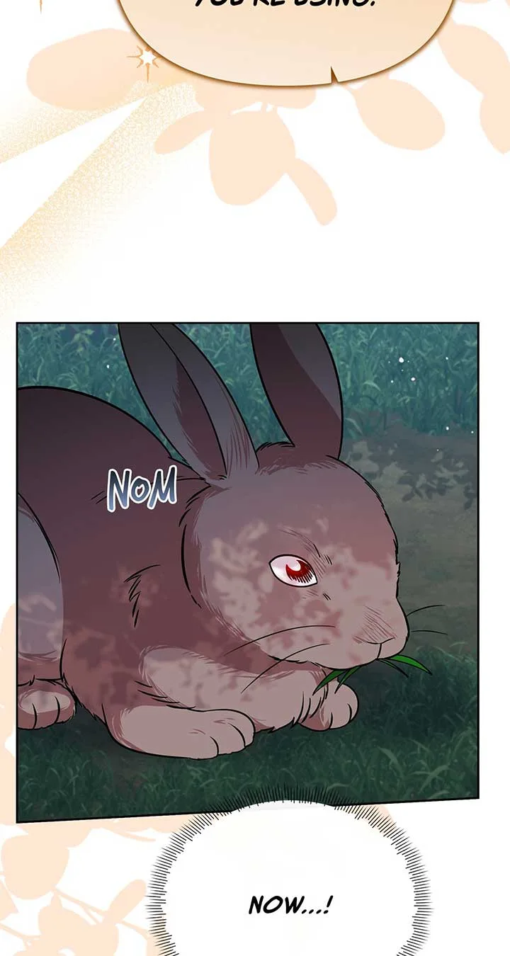 There Are Too Many Second Male Leads! Chapter 45 page 70