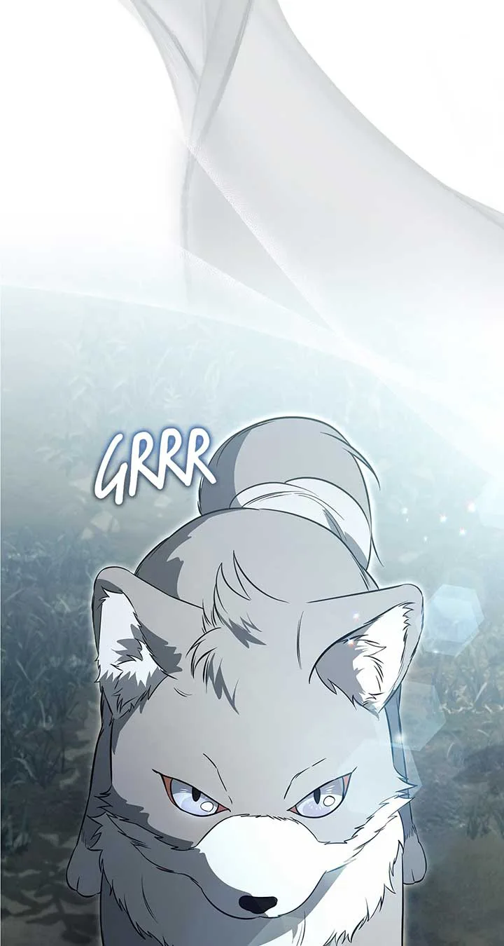 There Are Too Many Second Male Leads! Chapter 47 page 27