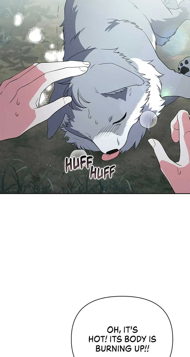 There Are Too Many Second Male Leads! Chapter 47 page 38