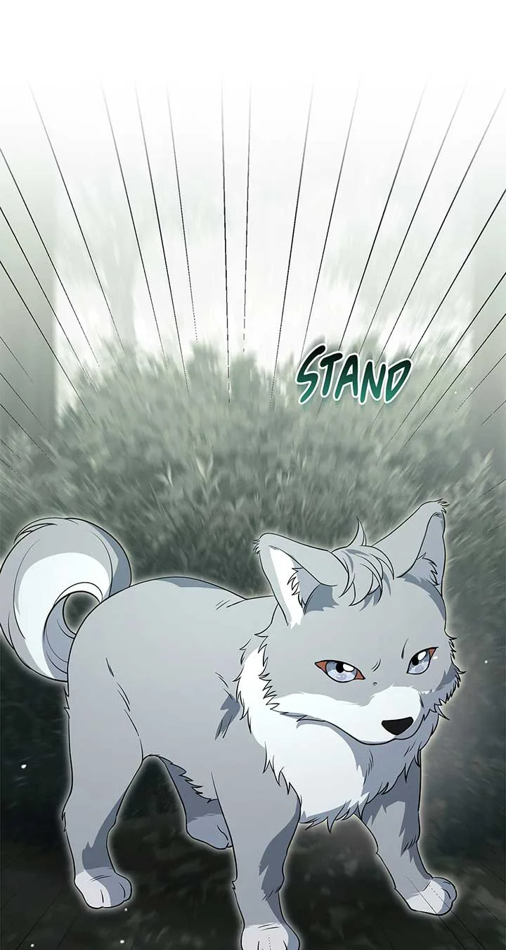 There Are Too Many Second Male Leads! Chapter 47 page 54