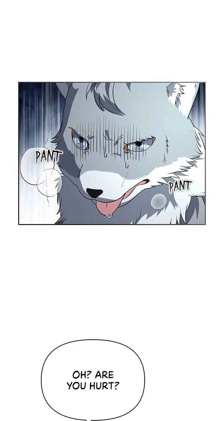 There Are Too Many Second Male Leads! Chapter 47 page 32