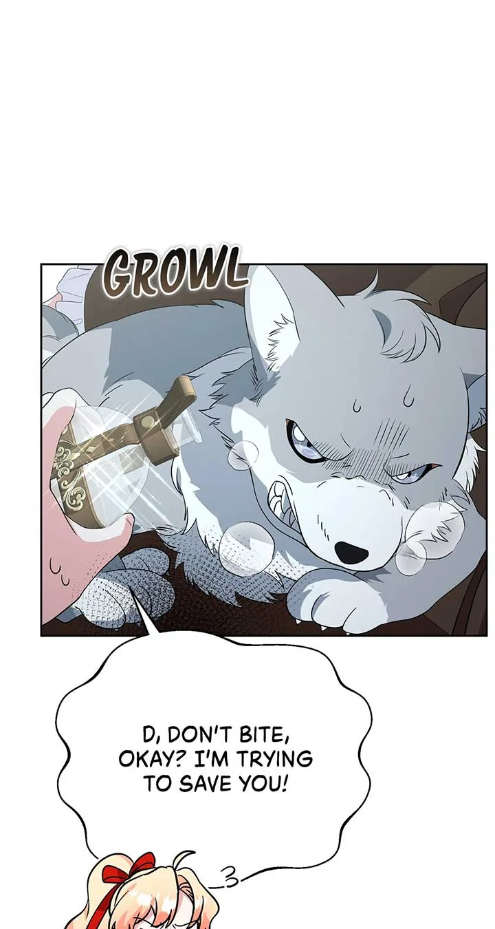 There Are Too Many Second Male Leads! Chapter 47 page 45