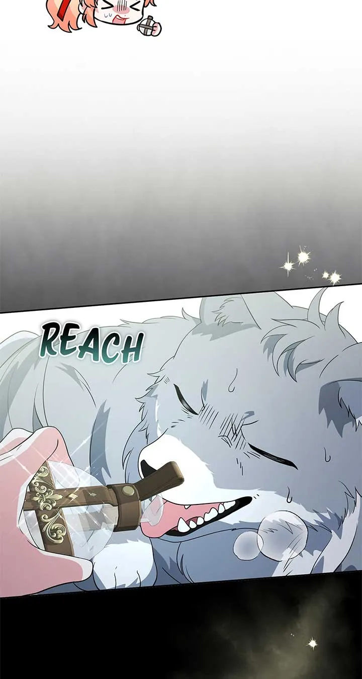 There Are Too Many Second Male Leads! Chapter 47 page 46