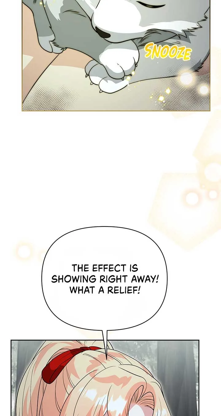 There Are Too Many Second Male Leads! Chapter 47 page 49