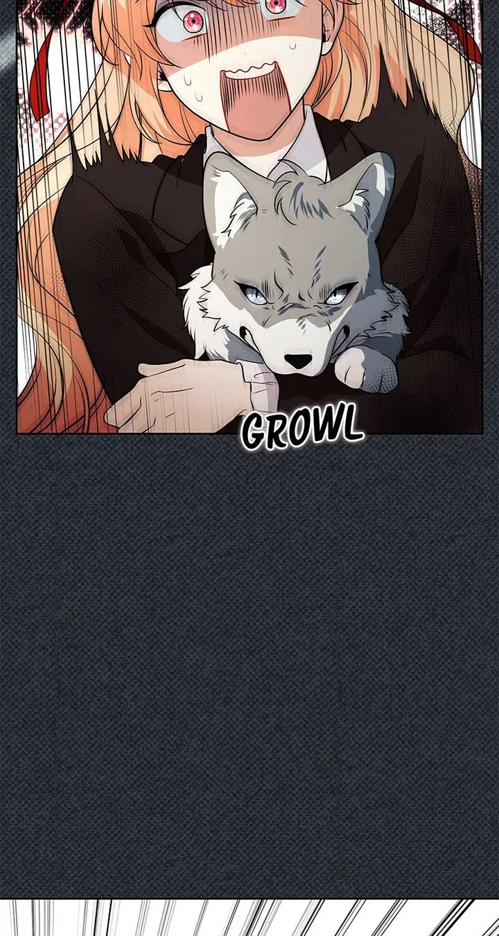 There Are Too Many Second Male Leads! Chapter 47 page 79