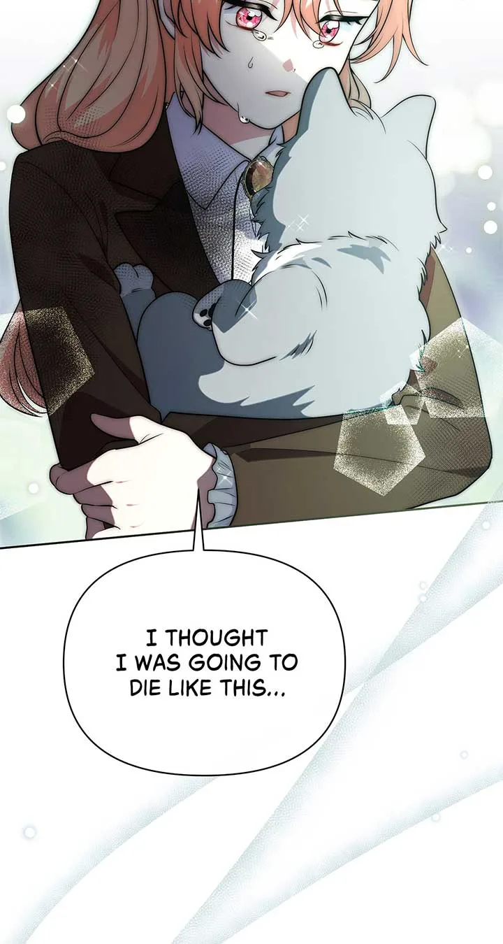 There Are Too Many Second Male Leads! Chapter 47 page 66