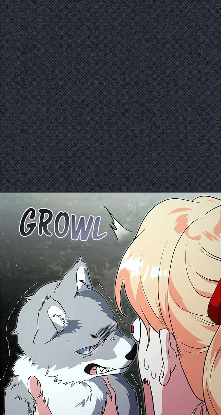 There Are Too Many Second Male Leads! Chapter 47 page 73