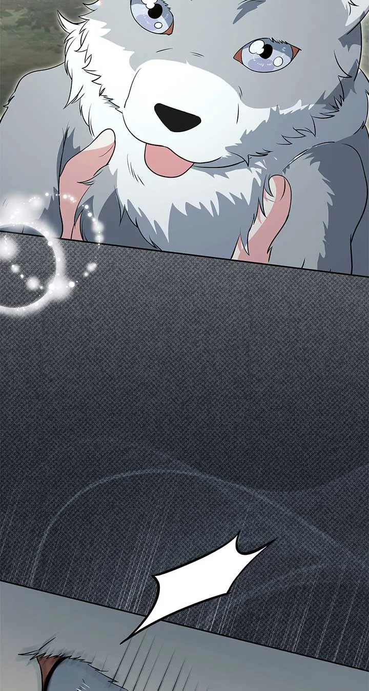 There Are Too Many Second Male Leads! Chapter 47 page 71