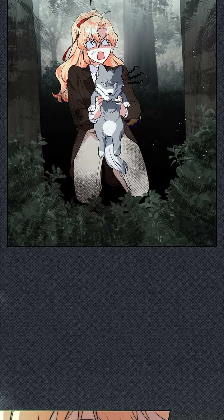 There Are Too Many Second Male Leads! Chapter 47 page 75