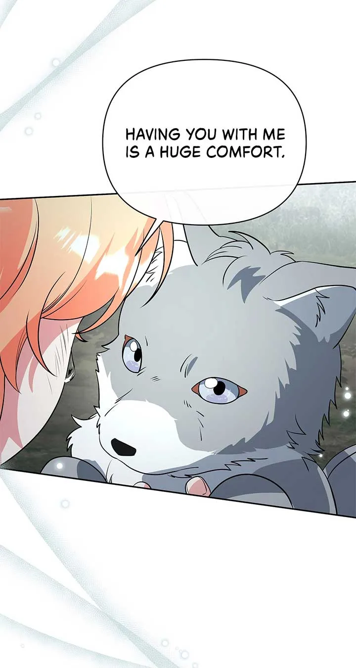 There Are Too Many Second Male Leads! Chapter 47 page 67