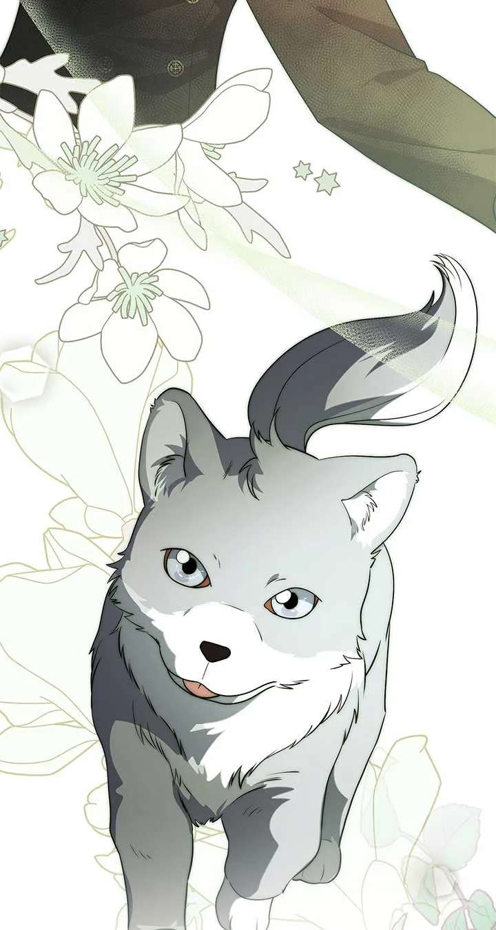 There Are Too Many Second Male Leads! Chapter 47 page 59