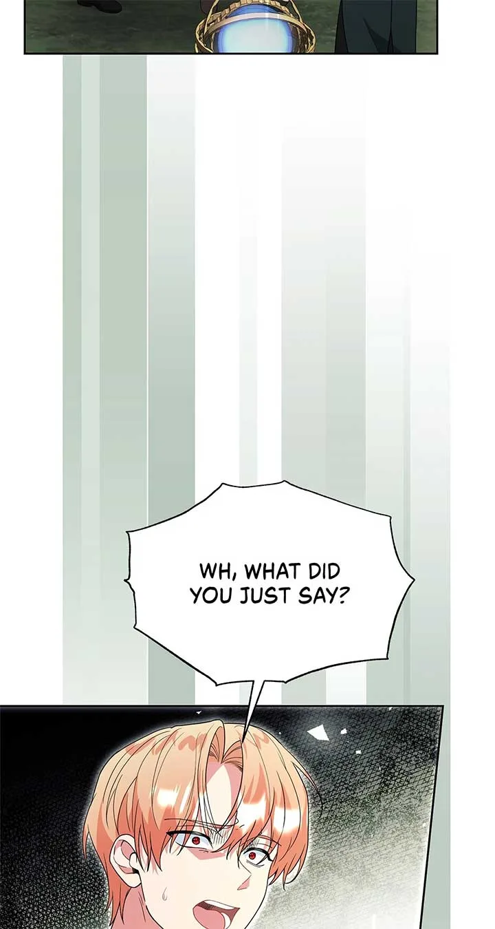 There Are Too Many Second Male Leads! Chapter 48 page 3