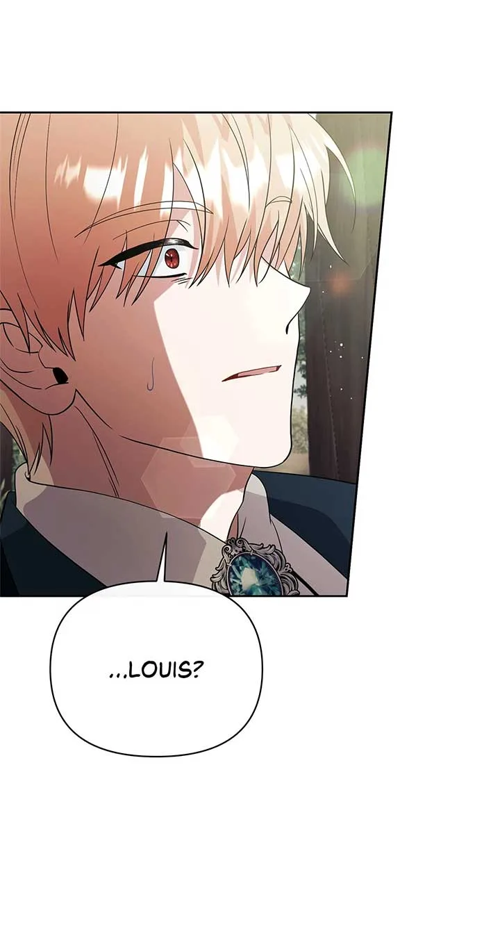 There Are Too Many Second Male Leads! Chapter 48 page 17