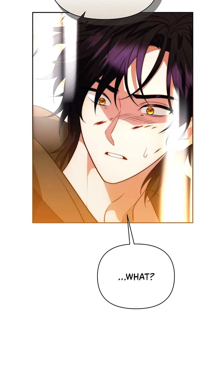There Are Too Many Second Male Leads! Chapter 49 page 84