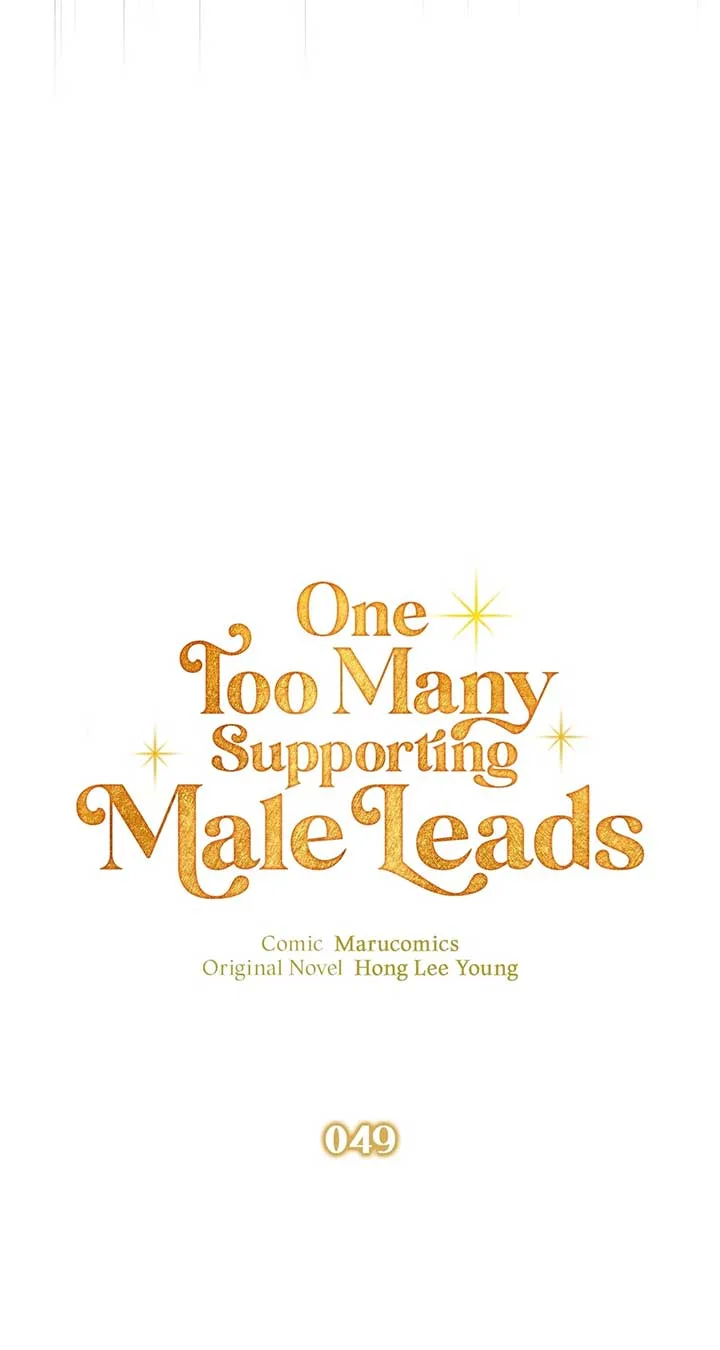 There Are Too Many Second Male Leads! Chapter 49 page 47