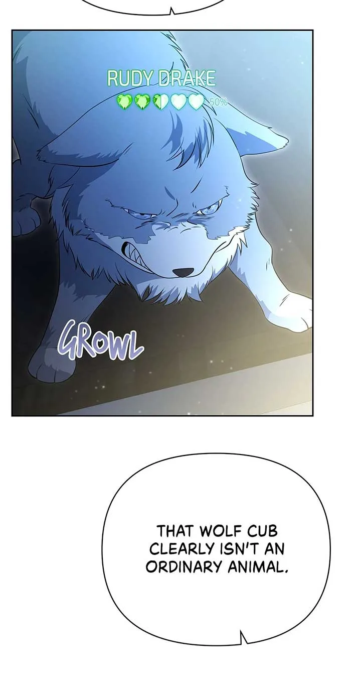 There Are Too Many Second Male Leads! Chapter 52 page 47