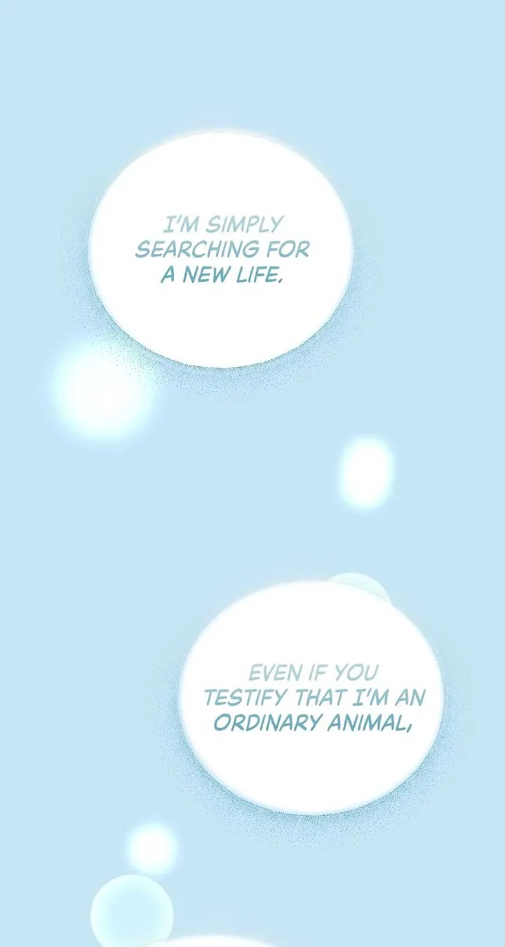 There Are Too Many Second Male Leads! Chapter 52 page 85