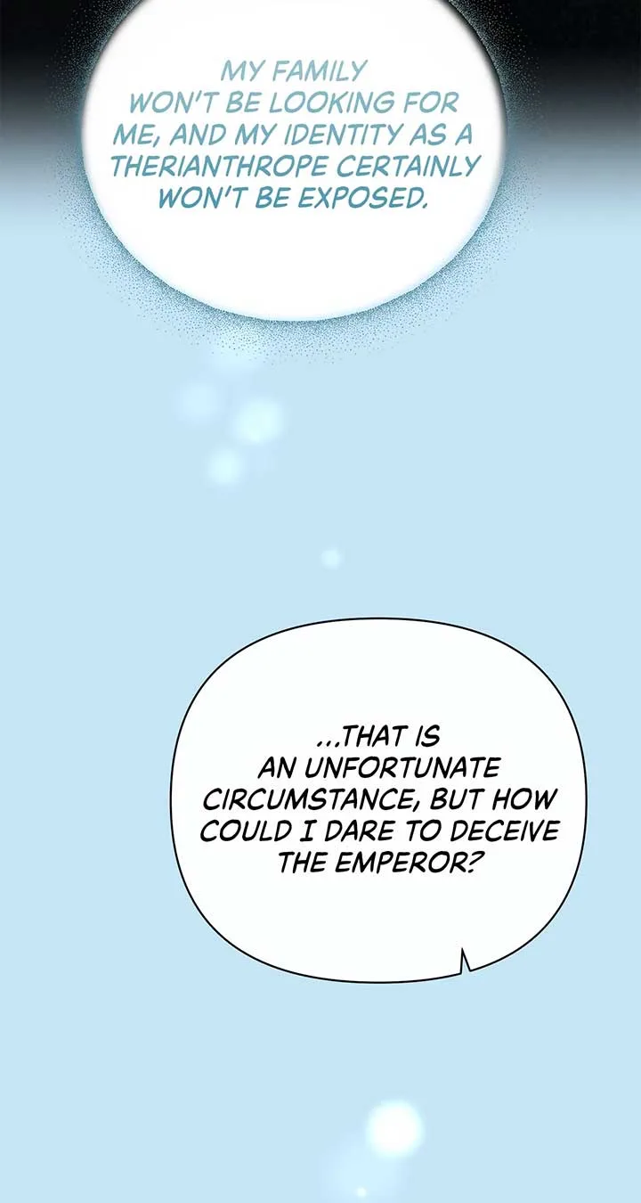 There Are Too Many Second Male Leads! Chapter 52 page 81
