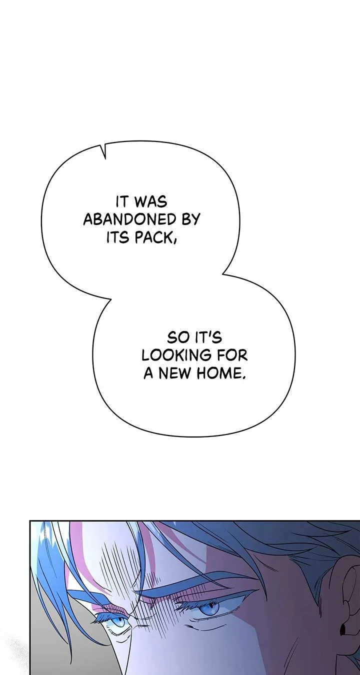 There Are Too Many Second Male Leads! Chapter 52 page 92