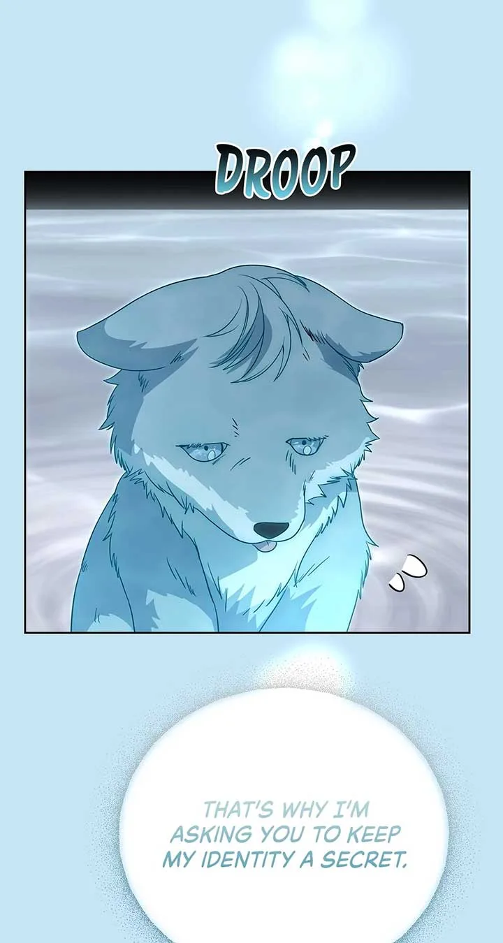 There Are Too Many Second Male Leads! Chapter 52 page 78