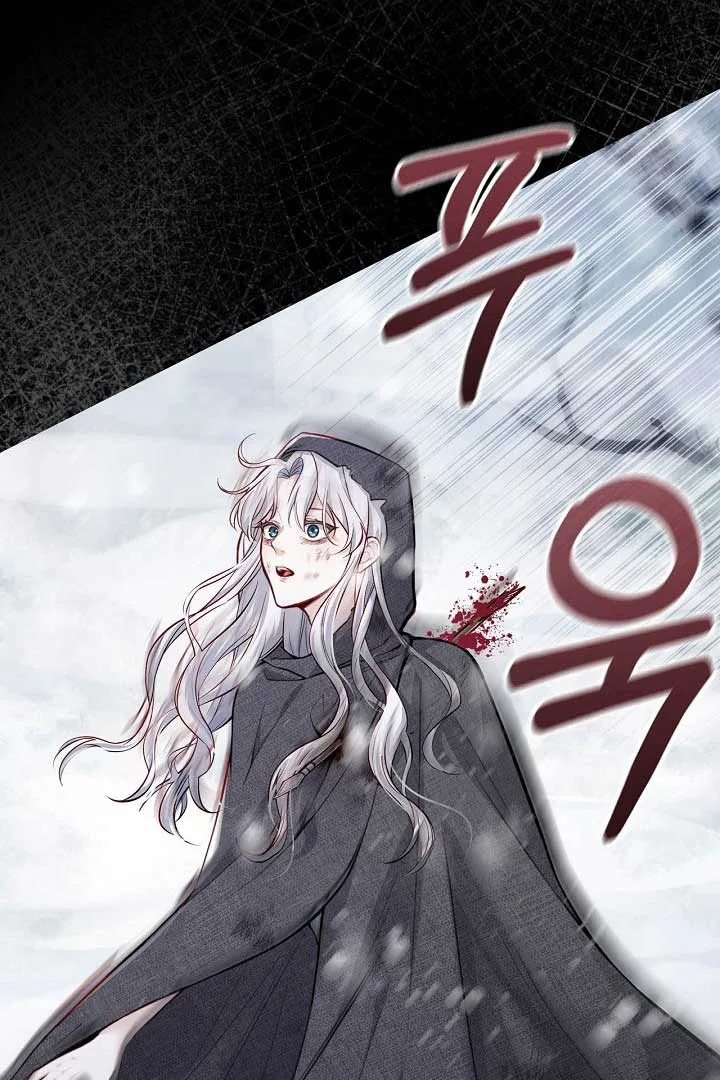 There is no forgiveness from the regressed lady Chapter 1 page 11